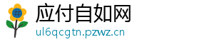 应付自如网